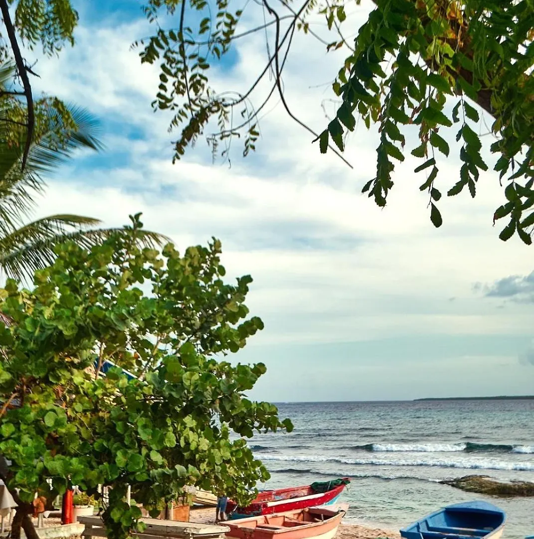 Tropical Paradise لا رومانا شقة